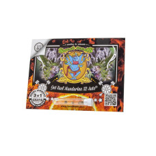 Jet Fuel Mandarine XL Auto - Sweet Seeds, 3+1