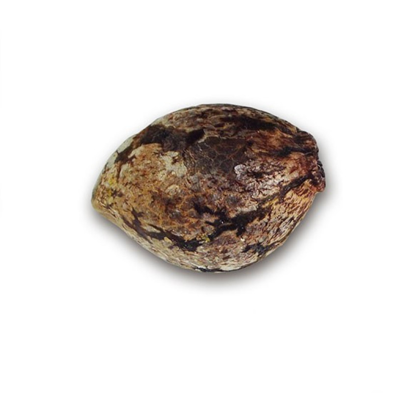 La Diva Auto - Delicious, 3