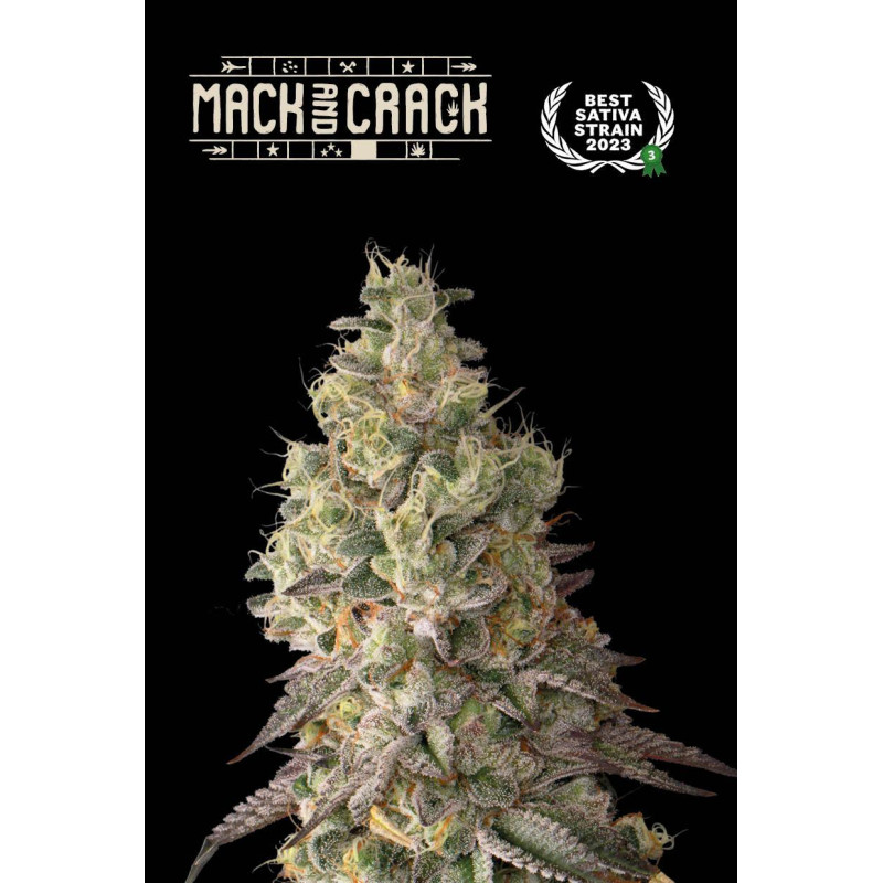 Mack & Crack Auto - Seed Stockers, 25