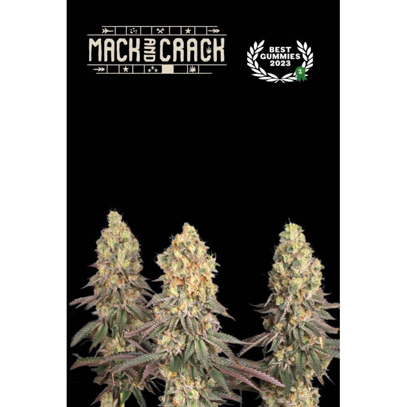 Mack & Crack Fem - Seed Stockers, 3