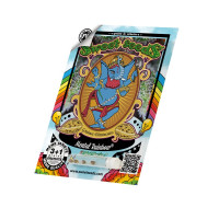 Mental Rainbow F1 Fast Version - Sweet Seeds, 3+1