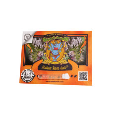 Mohan RAM AUTO - Sweet Seeds, 5+2