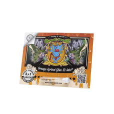 Orange Apricot Glue XL Auto - Sweet Seeds, 3+1