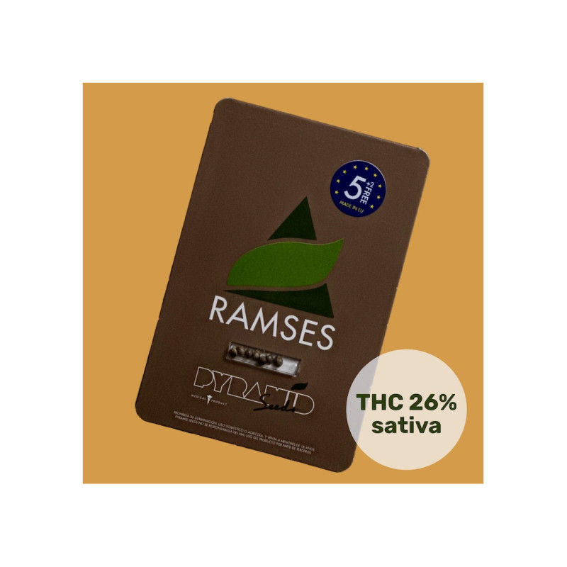 Ramses - Pyramid, 5+2