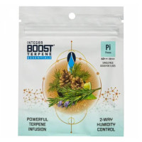Регулятор вологості Integra Boost 62% Pinene