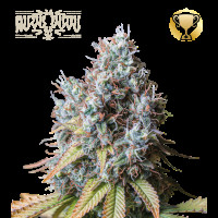 Rucu Cucu OG Fem - Seed Stockers, 5