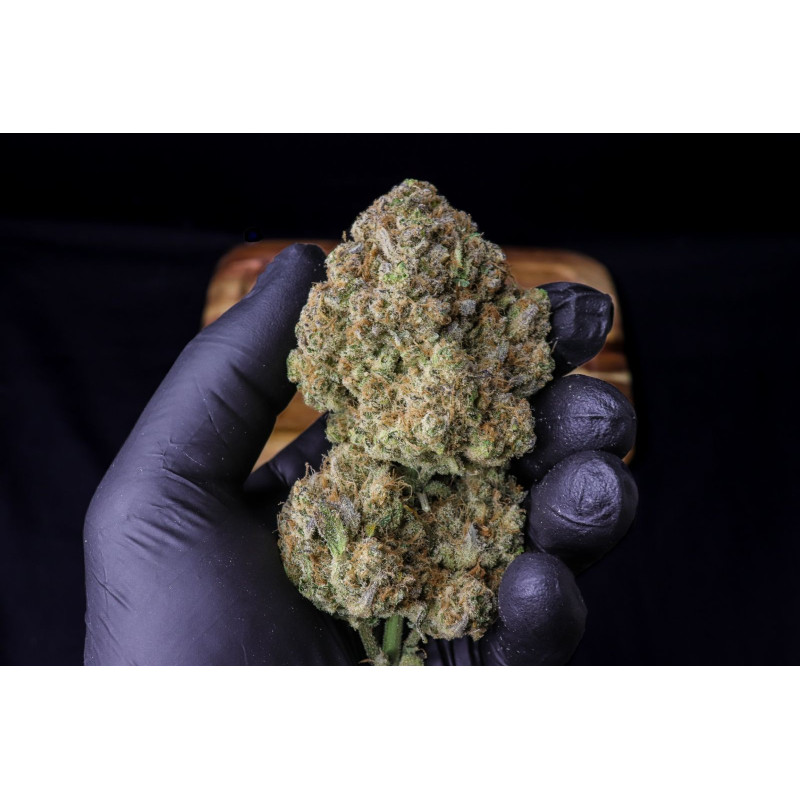 Strawberry Gorilla Auto - Fast Buds, 10