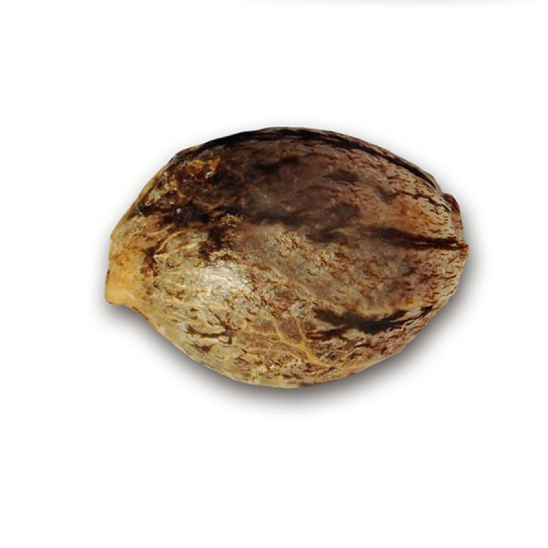 Sugar Candy - Delicious, 5