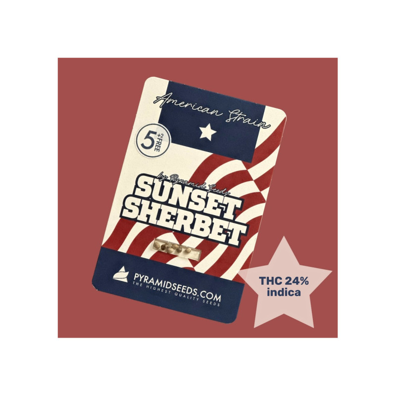 Sunset Sherbet - Pyramid, 5+2