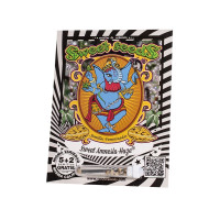 Sweet Amnesia Haze - Sweet Seeds, 3+1