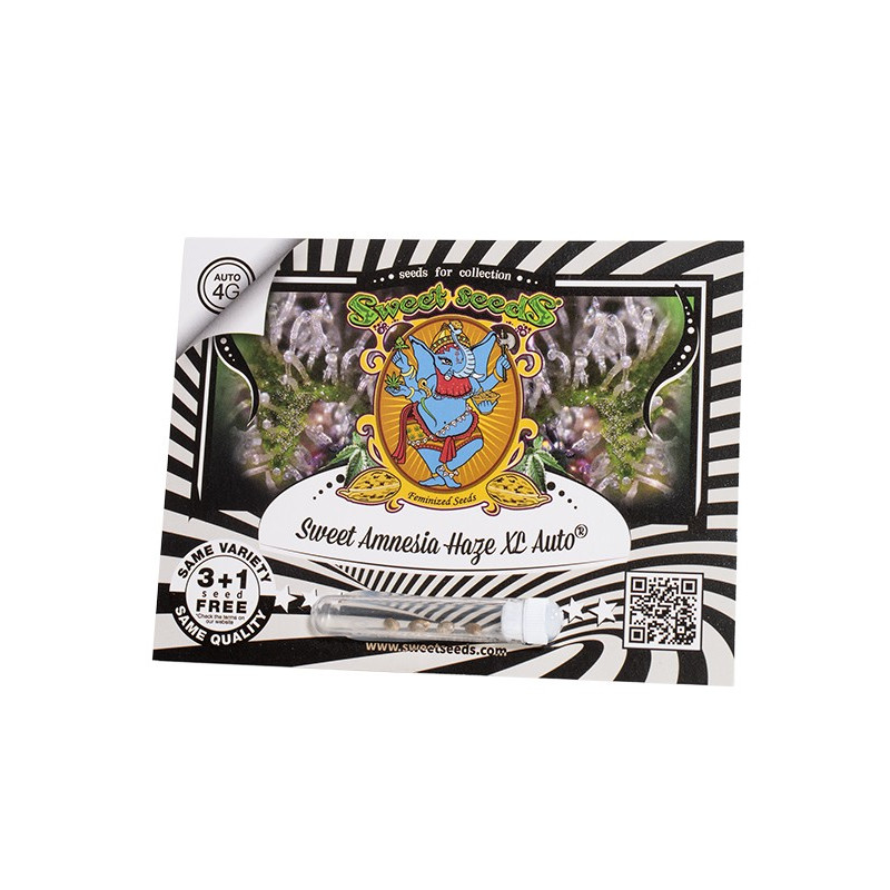 Sweet Amnesia Haze XL Auto - Sweet Seeds, 3+1