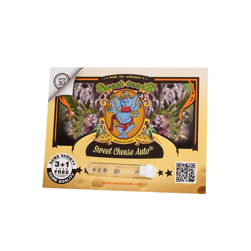 Sweet Cheese Auto - Sweet Seeds, 3+1