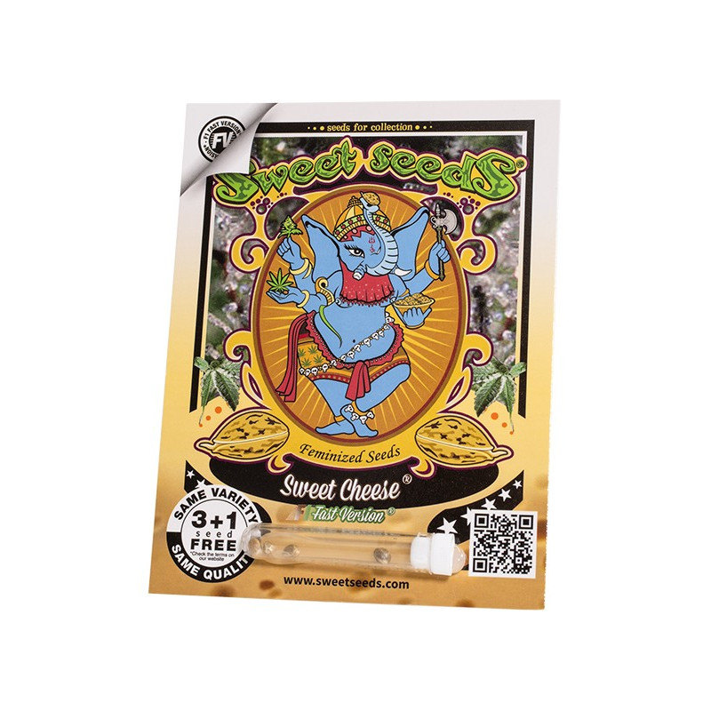 Sweet Cheese F1 Fast Version - Sweet Seeds, 3+1