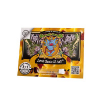 Sweet Cheese XL Auto - Sweet Seeds, 3+1