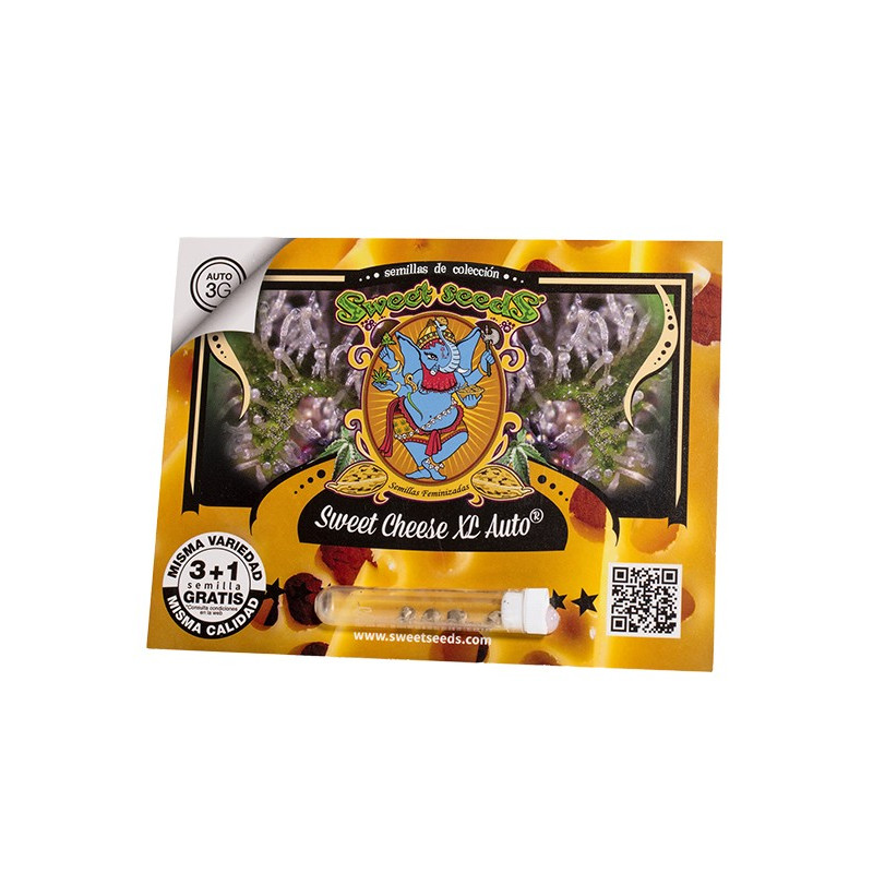 Sweet Cheese XL Auto - Sweet Seeds, 3+1