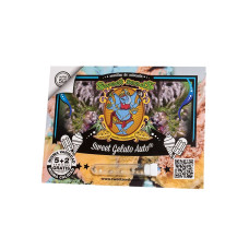 Sweet Gelato Auto - Sweet Seeds, 5+2