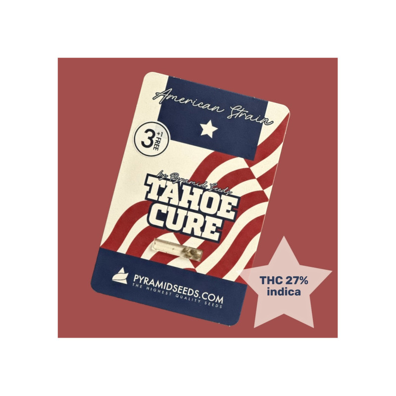 Tahoe Cure - Pyramid, 3+1