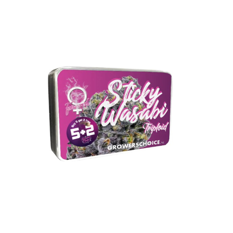 Triploid F1 Sticky Wasabi - Growers Choice, 5+2