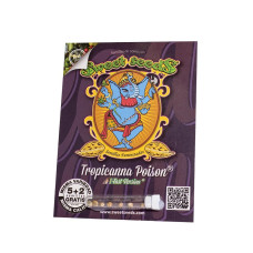 Tropicanna Poison F1 Fast Version - Sweet Seeds, 5+2