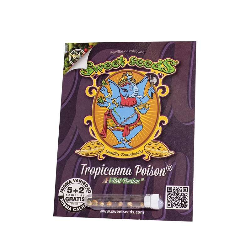 Tropicanna Poison F1 Fast Version - Sweet Seeds, 5+2