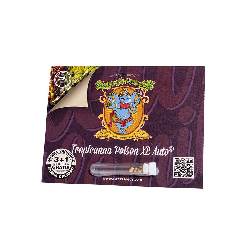 Tropicanna Poison XL Auto - Sweet Seeds, 5+2