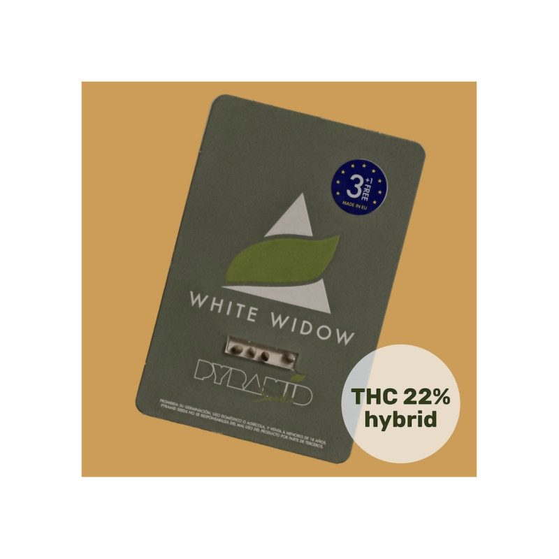 White Widow - Pyramid, 100