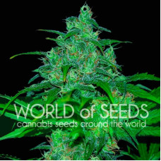 Wild Thailand - WoS, 3