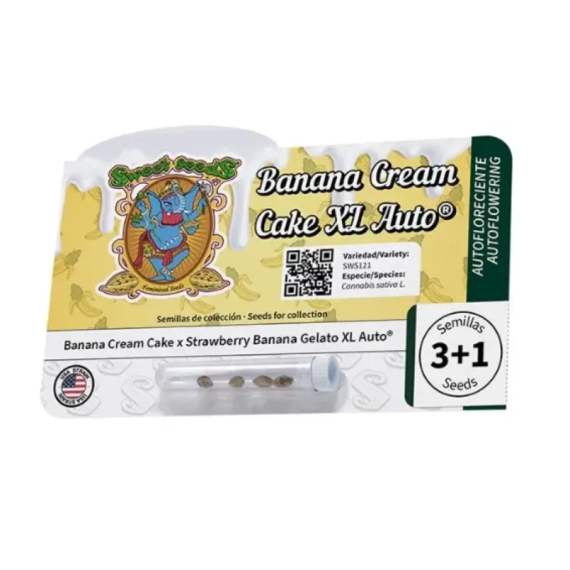 Banana Cream Cake XL Auto® - Sweet Seeds, 3+1