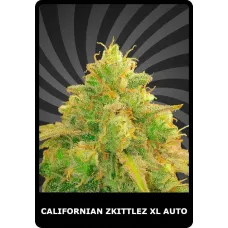 Californian Zkittlez XL Auto - BSC, 3