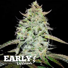 Lemon Gazzy Earli Version - Delicious, 3